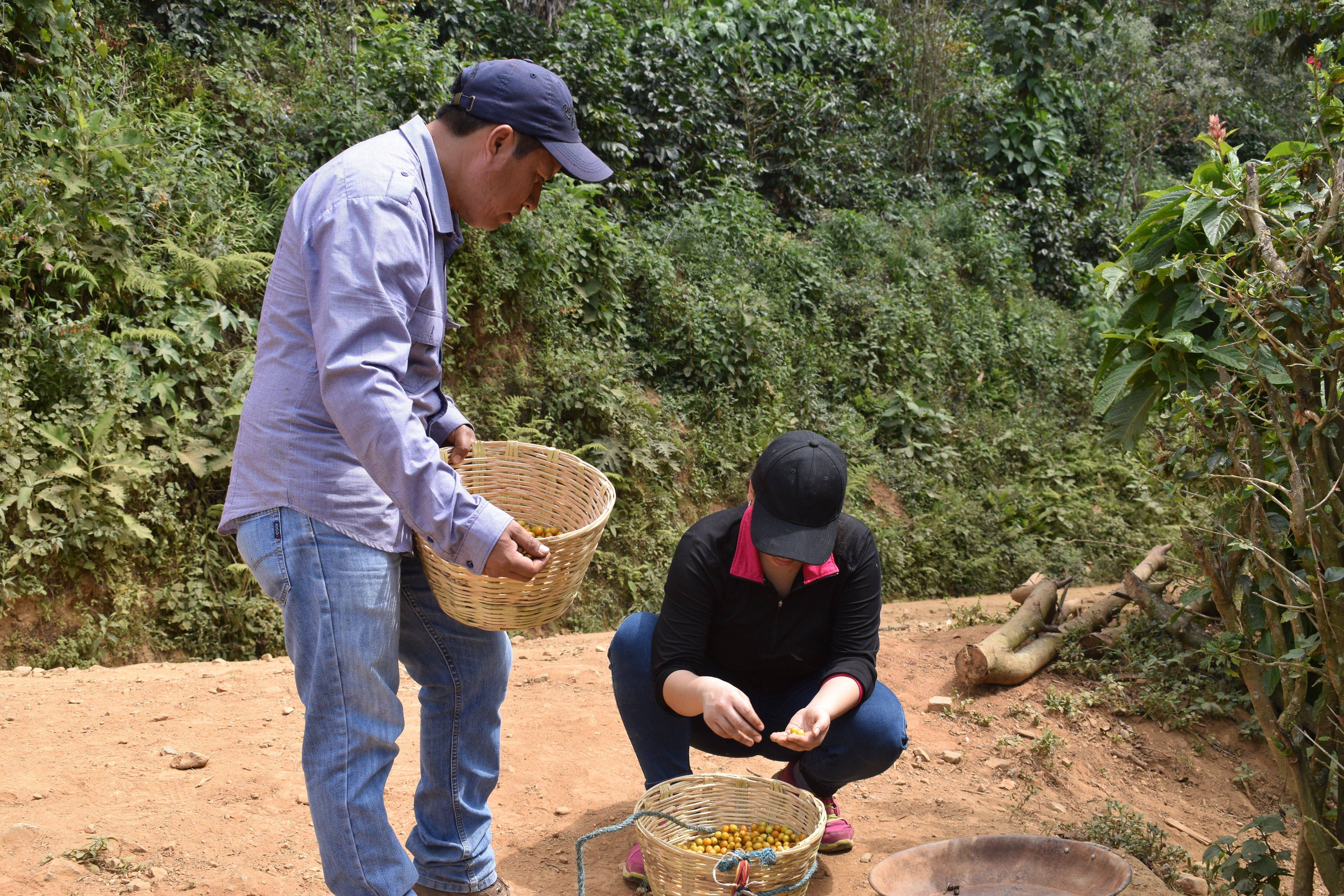 Trabajo colaborativo en territorio y acompañamiento productivo